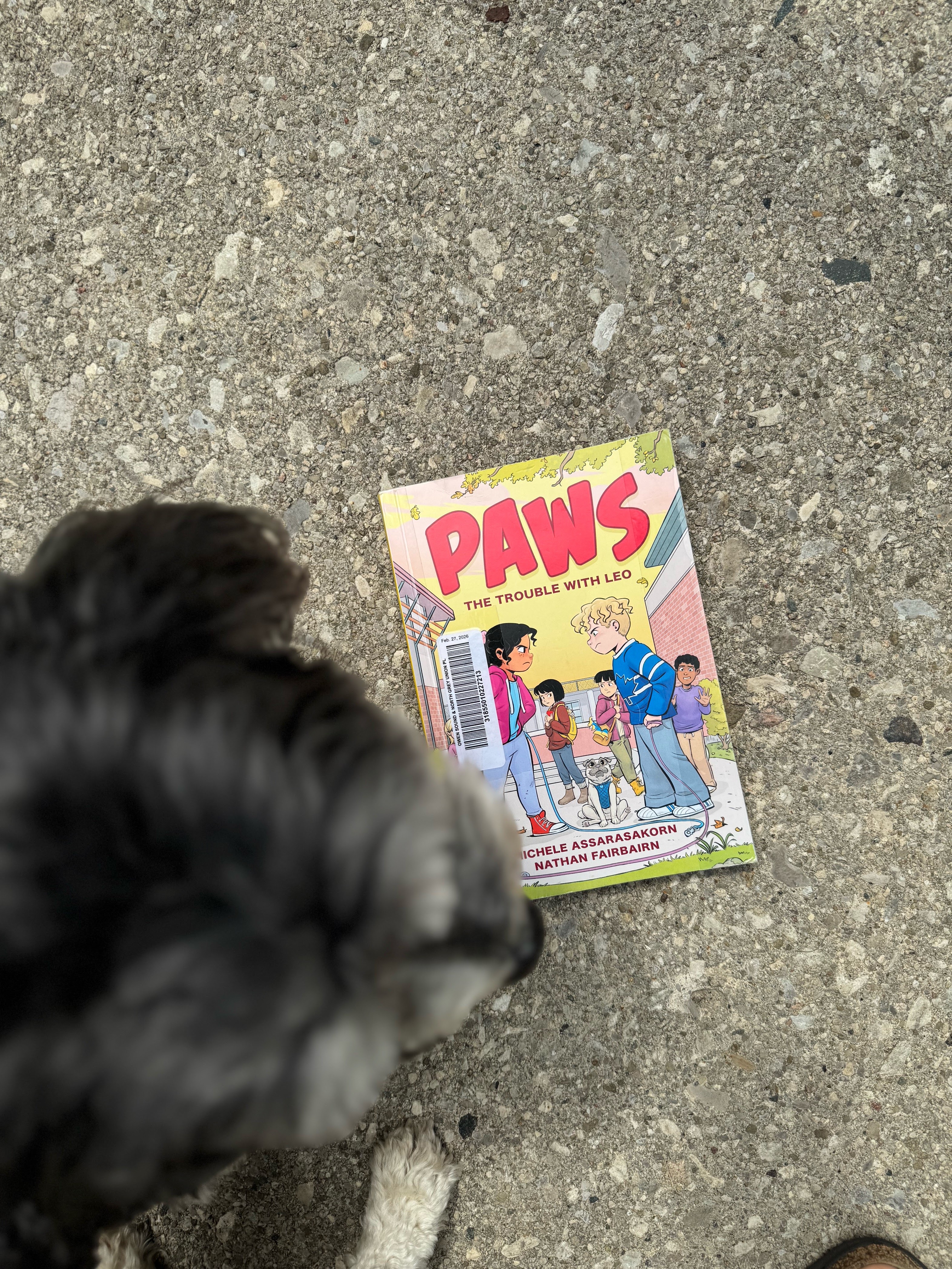 Paws by Michele Assarasakorn & Nathan Fairbairn book cover
